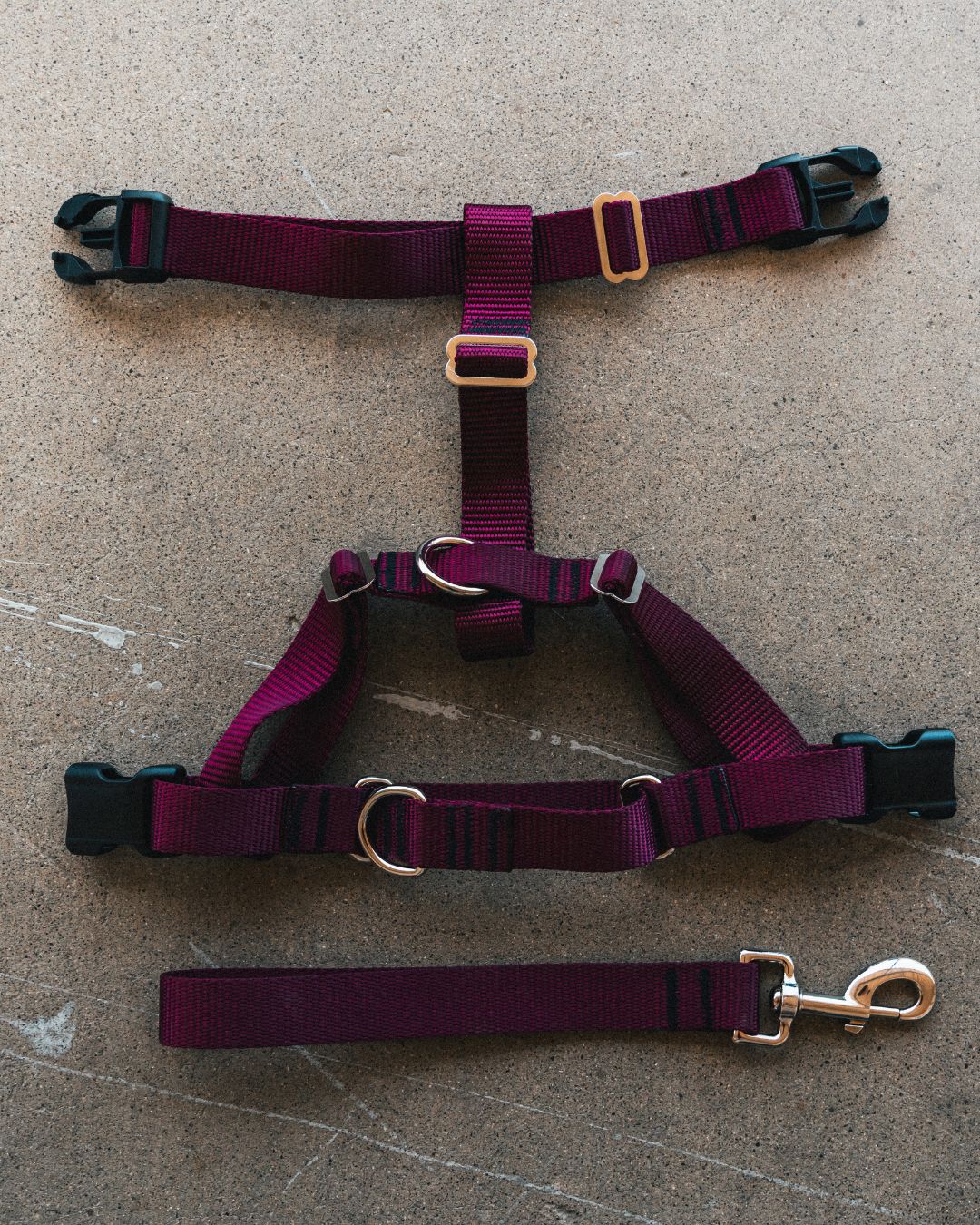 No-pull Harness (XL)