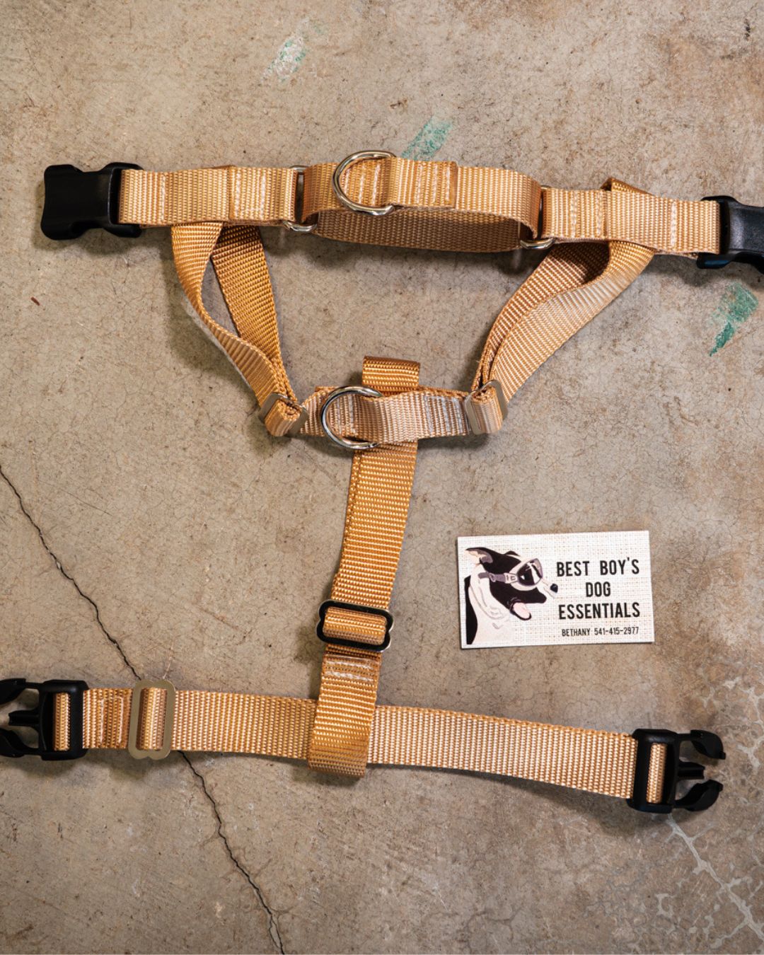 No-pull Harness (Small)