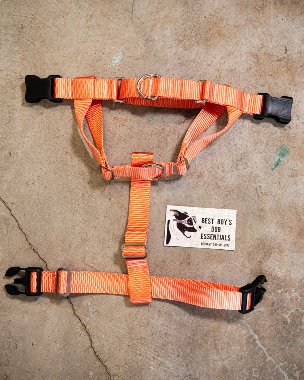 No-pull Harness (Small)
