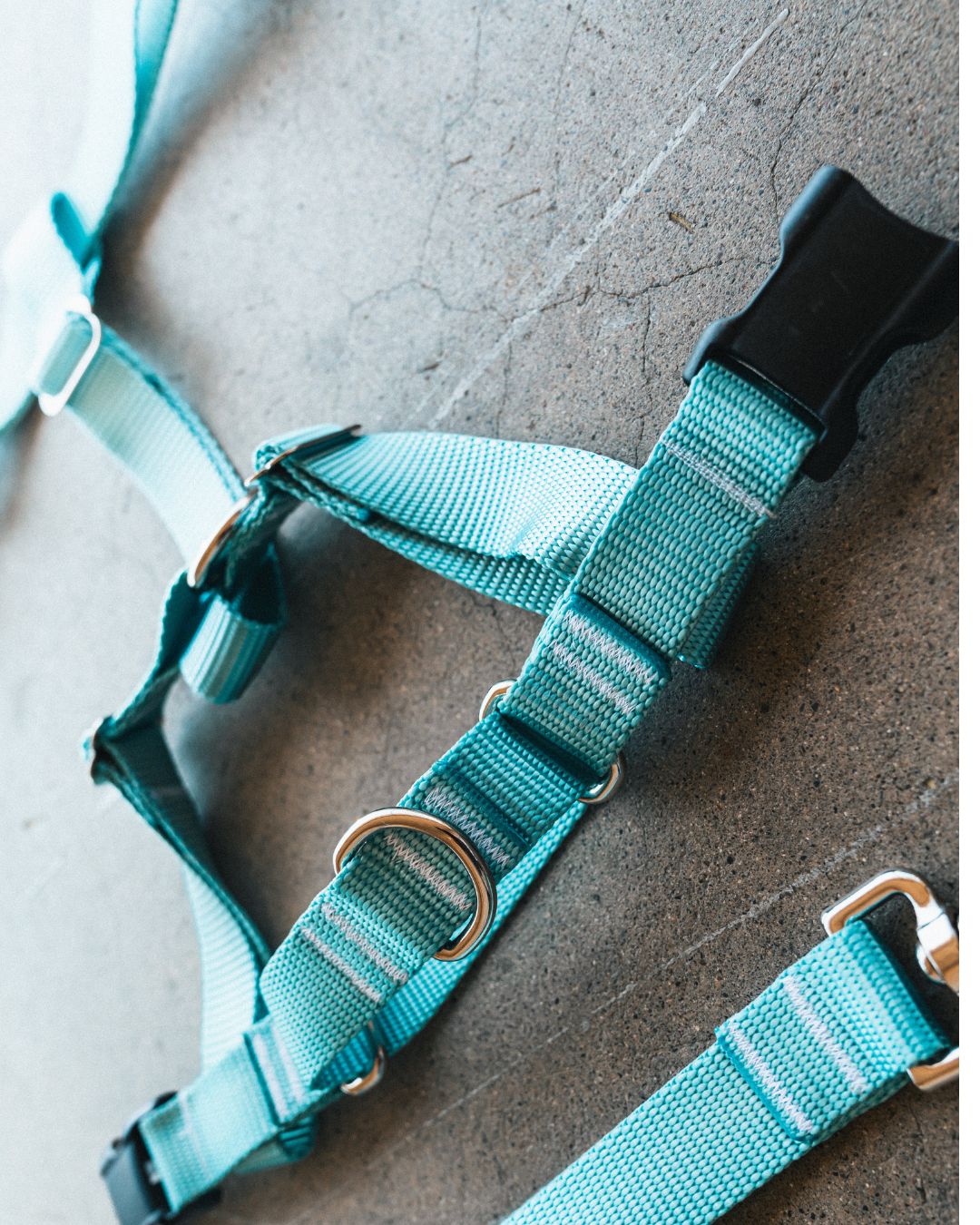 No-pull Harness (Small)