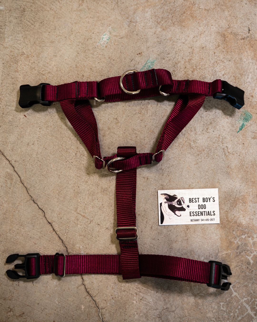 No-pull Harness (Small)