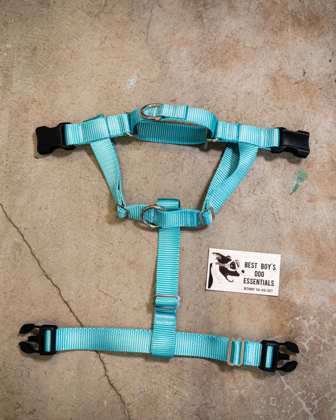 No-pull Harness (Small)