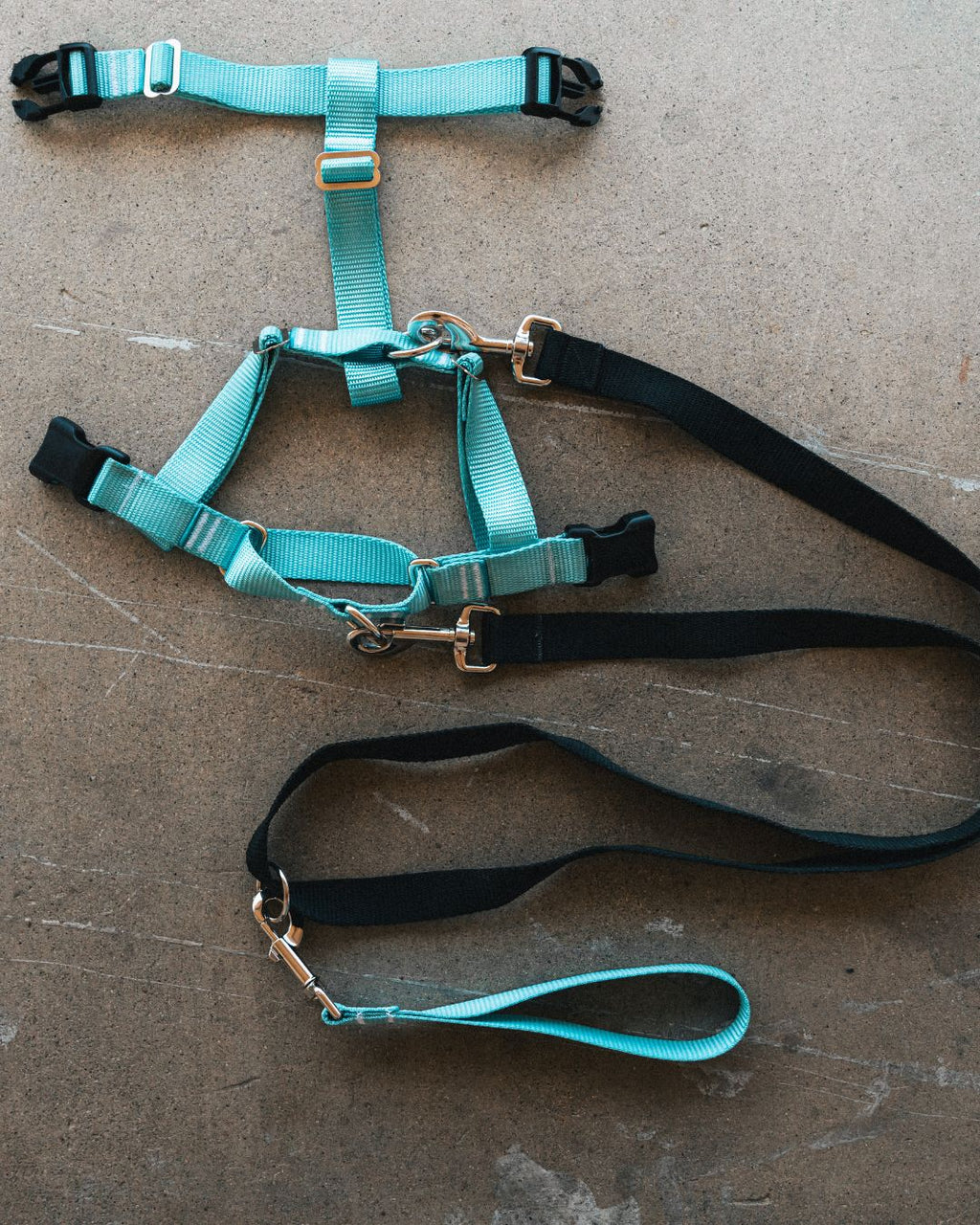 No-pull Harness (Small)