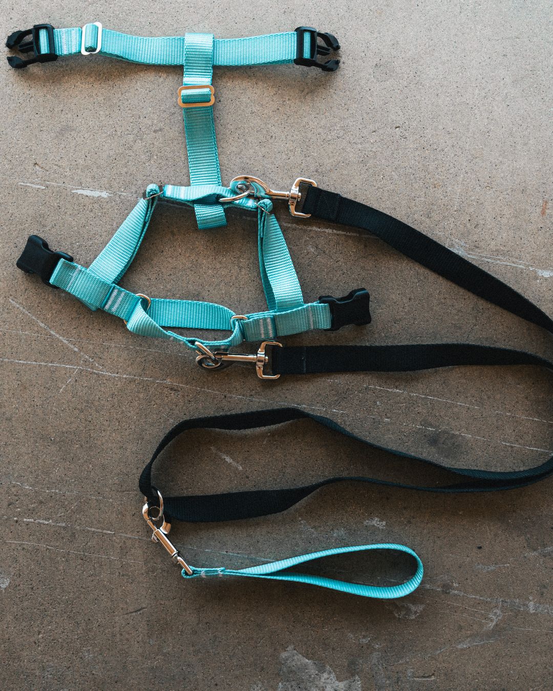 Double Leash (no pull)