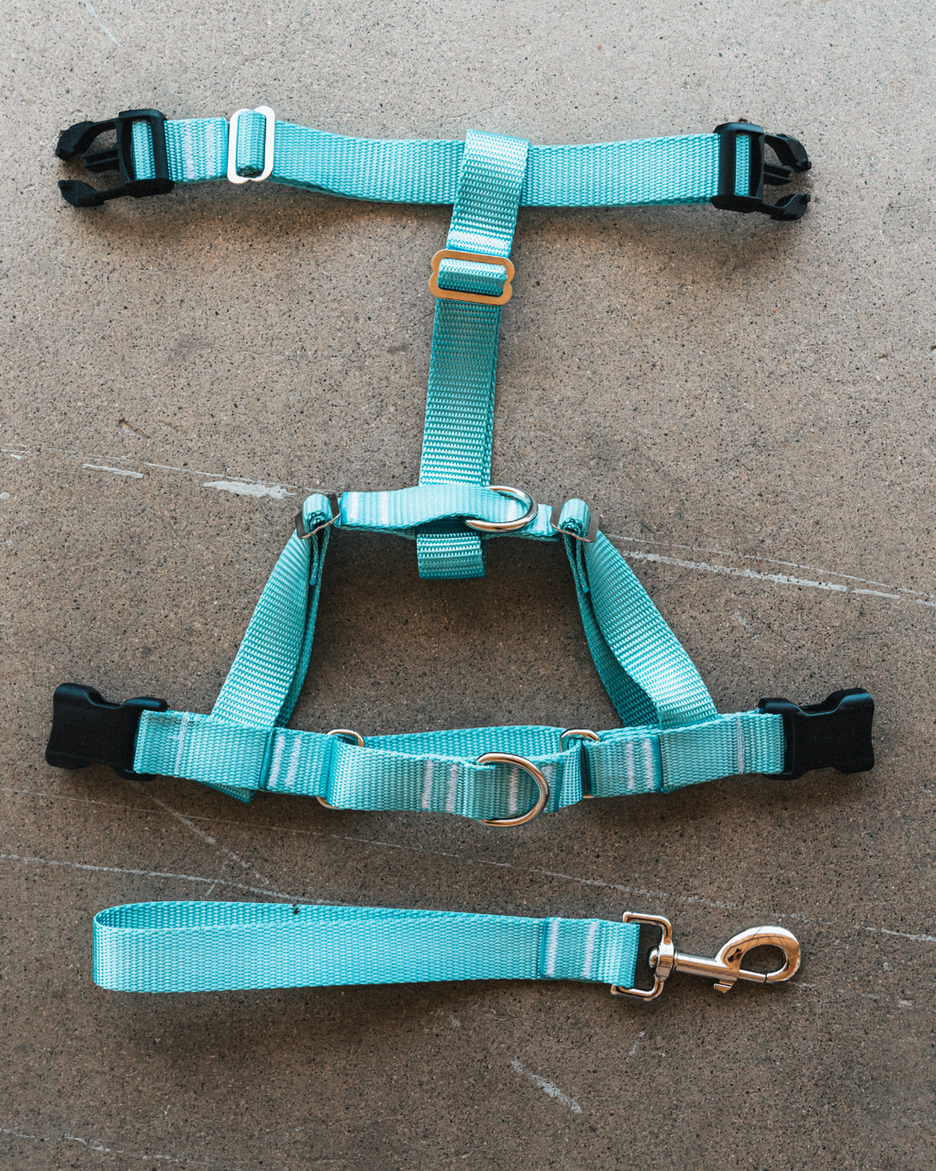 No-pull Harness (Small)
