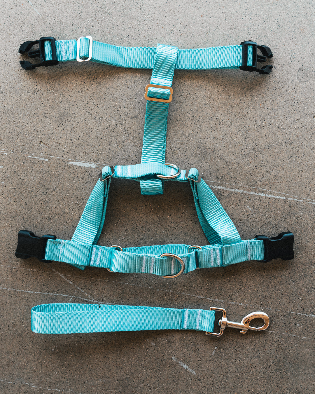 No-pull Harness (Small)