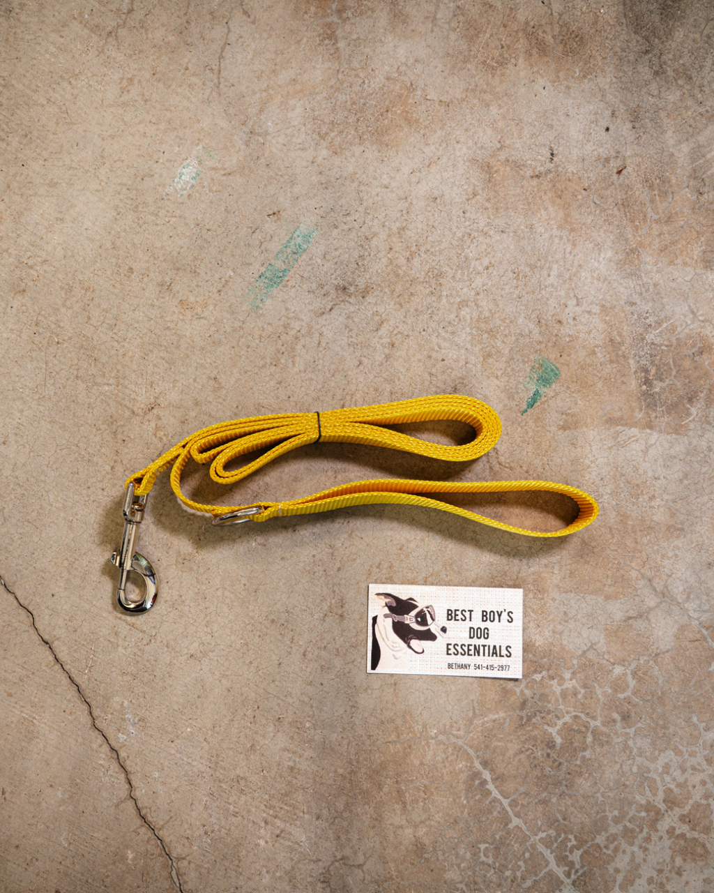 Standard 6ft Leash