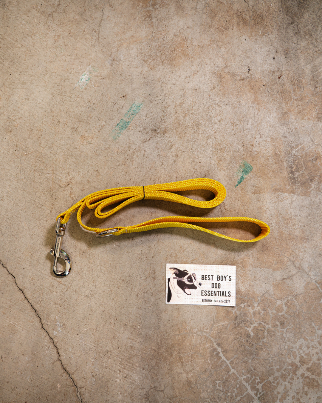 Standard 6ft Leash