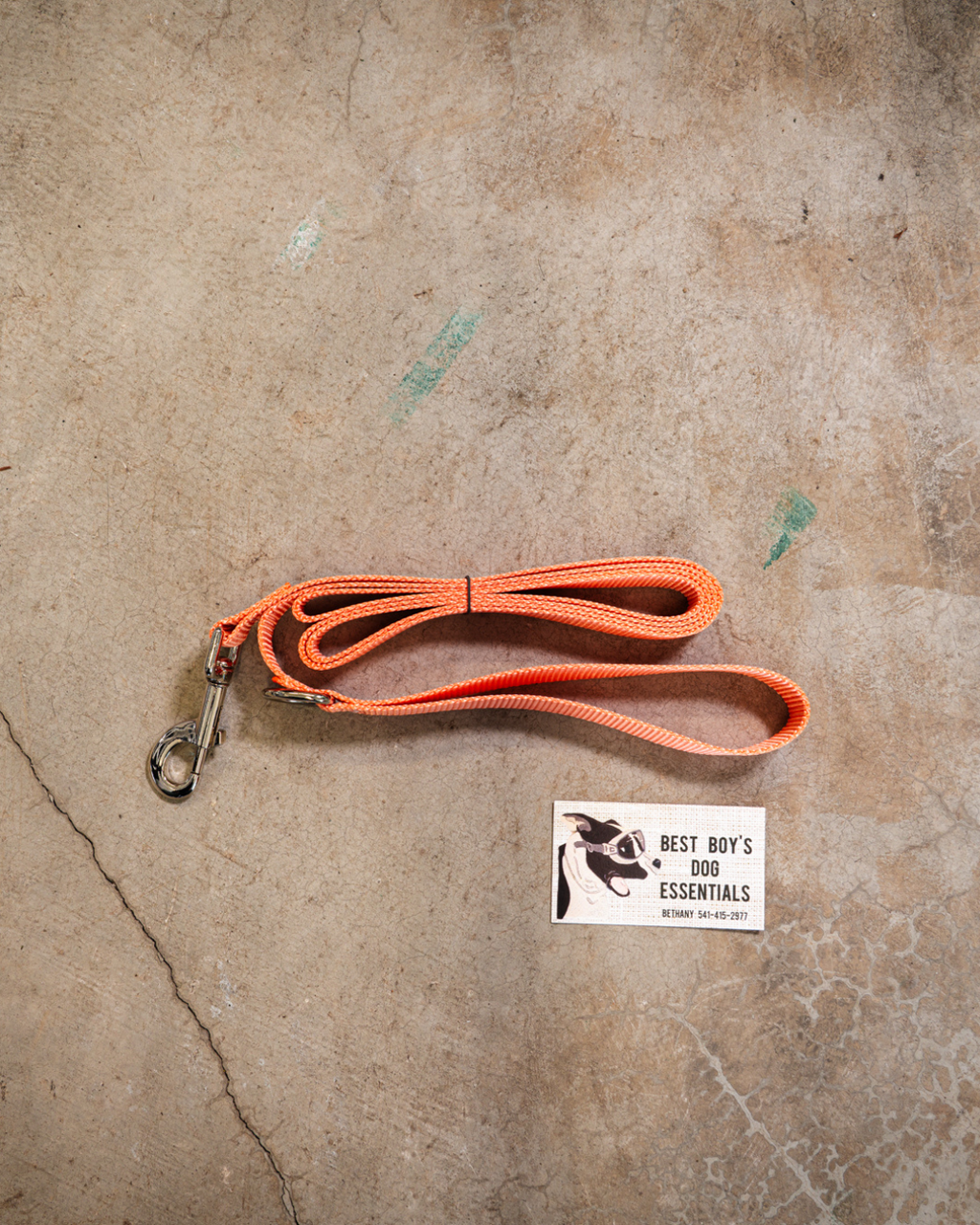 Standard 6ft Leash