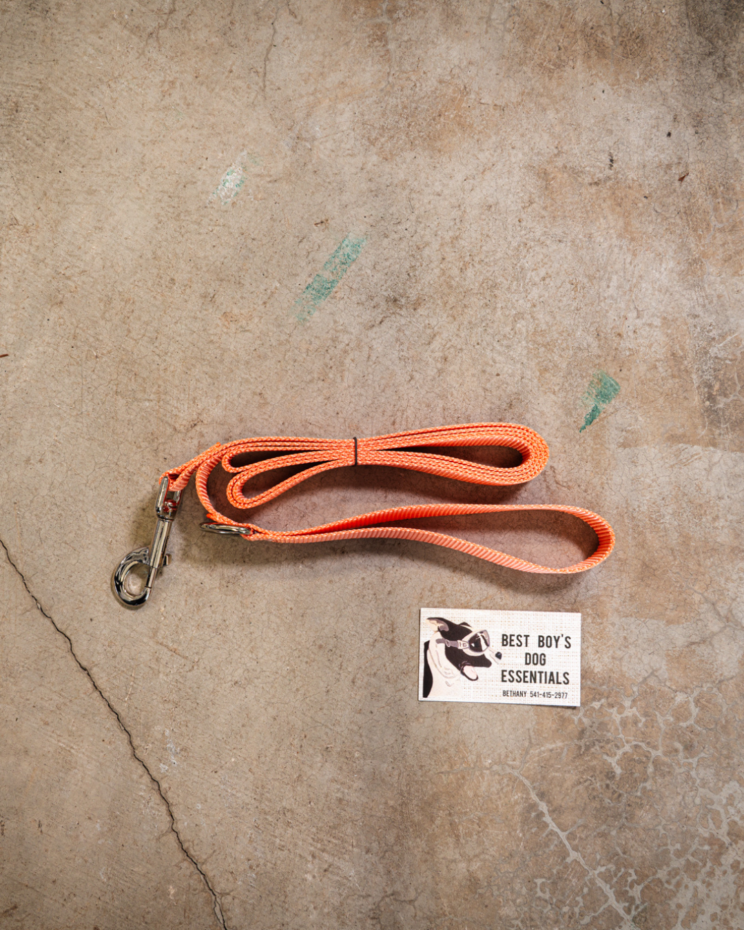 Standard 6ft Leash