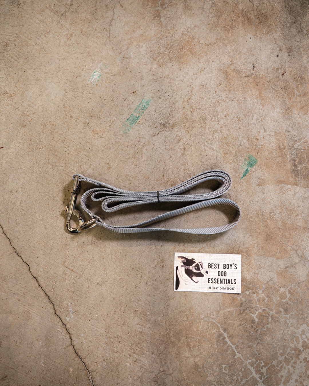 Standard 6ft Leash