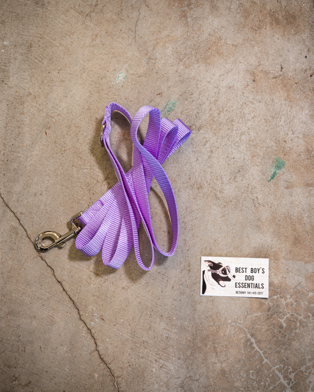 Standard 6ft Leash